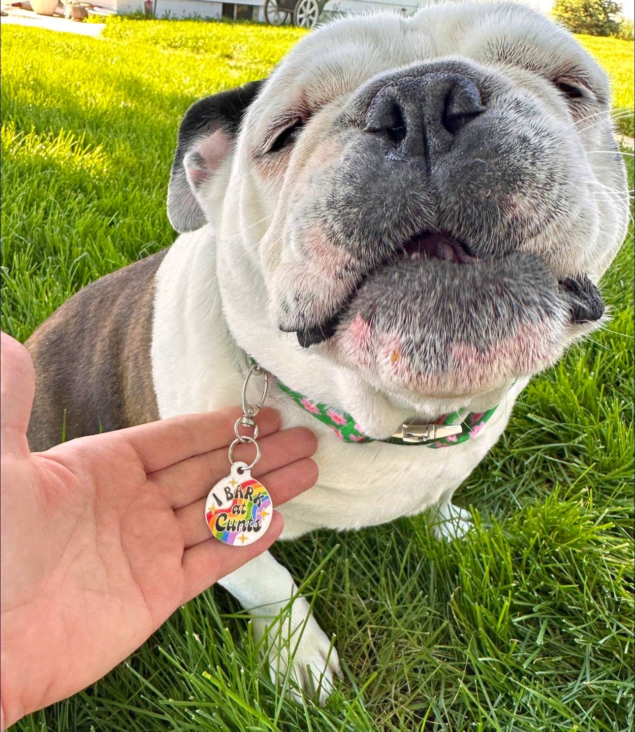 "I Bark at Cunts" Dog Tag