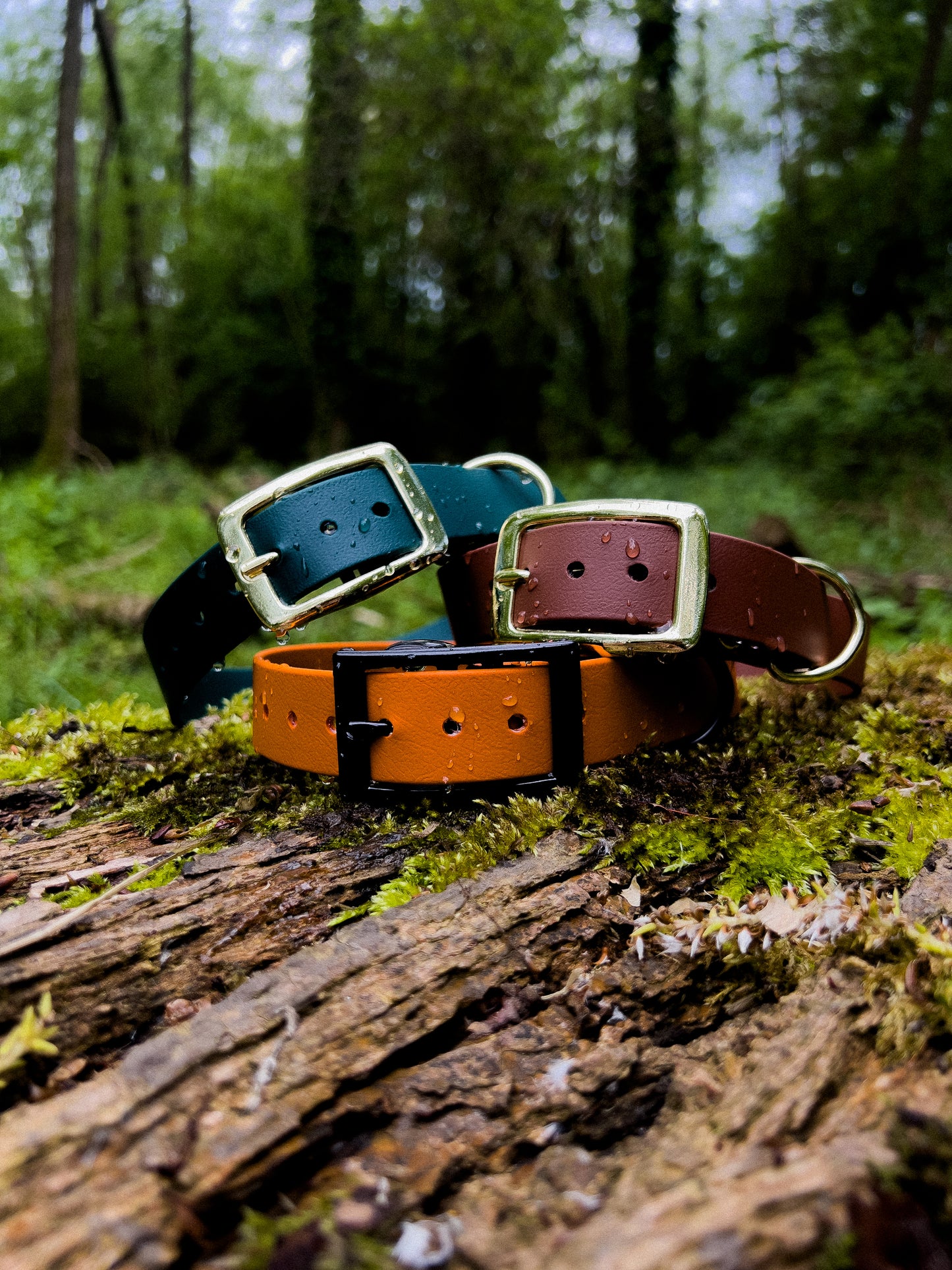 Klassieke halsband