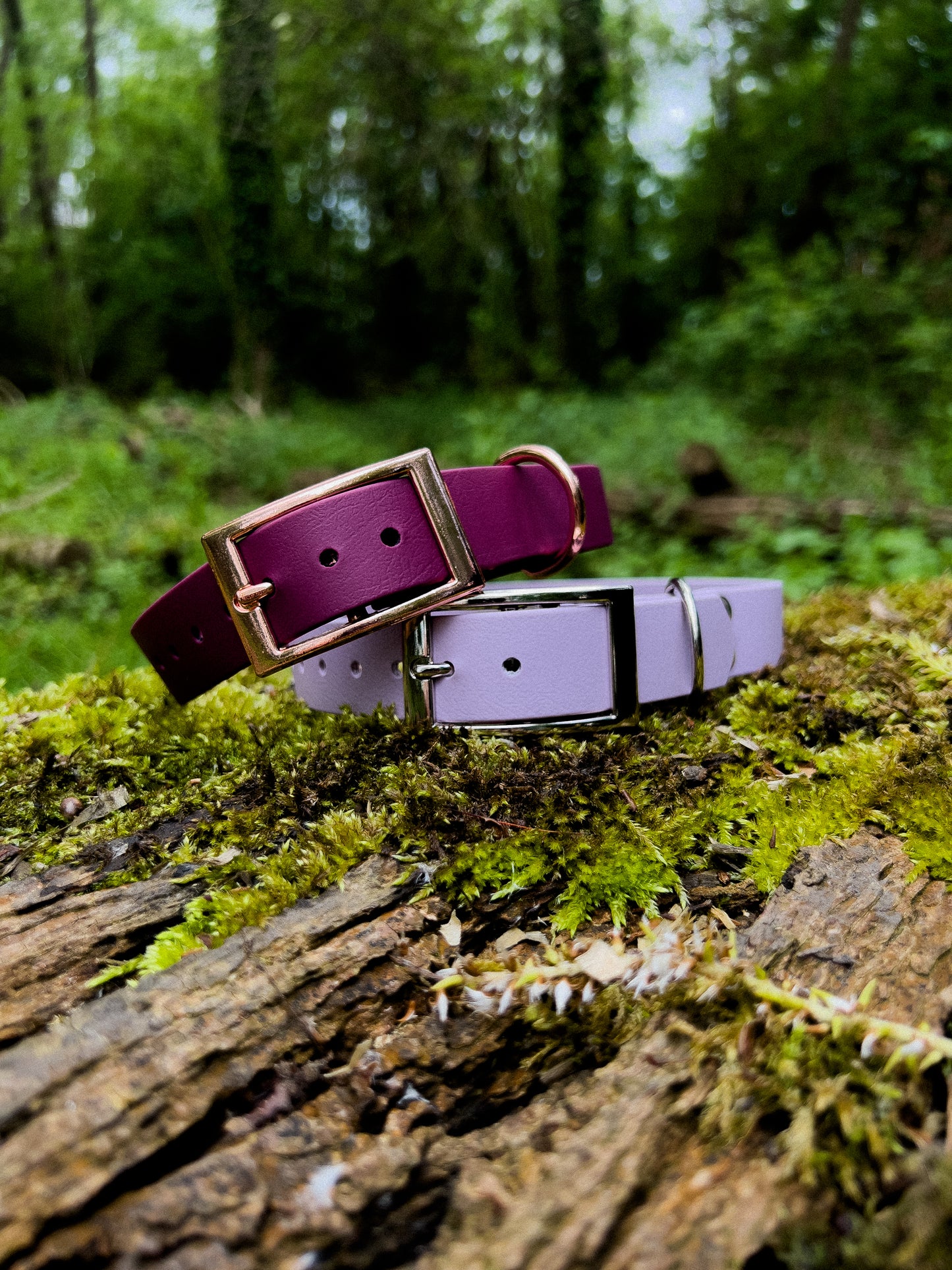 Klassieke halsband