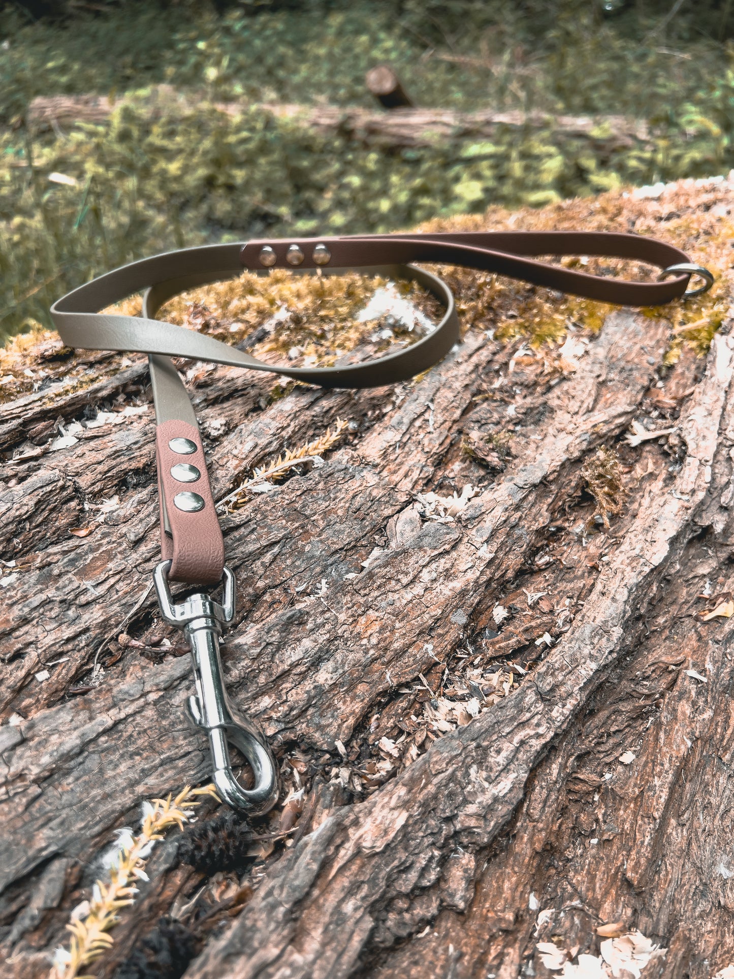 Laisse classique 'bicolore'