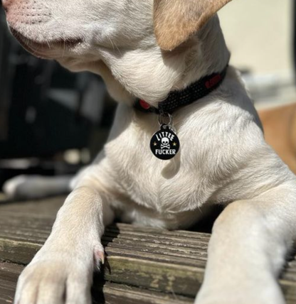 "Little F*cker" Dog Tag